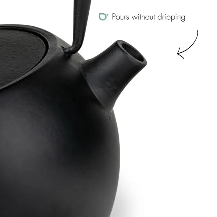 Sartons Guizhou theepot gietijzer zwart 0,75 liter
