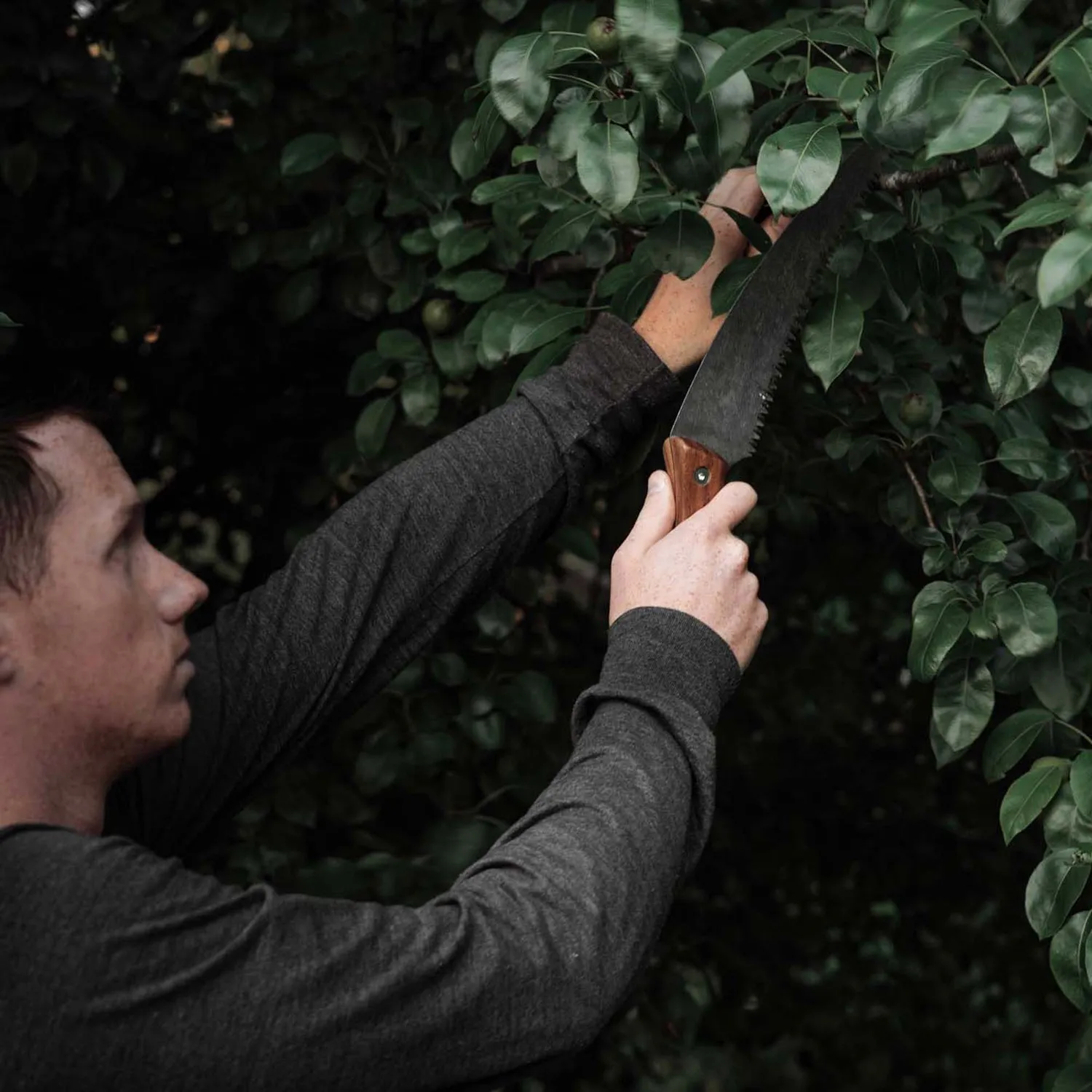 Bare Bones Living Timber Saw takkenzaag walnoothout met hoes
