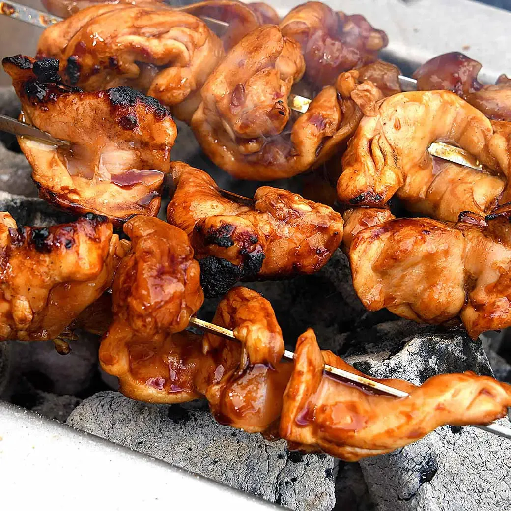 Kasai Grill Hibachi Bar Spiesjesset RVS yakitori