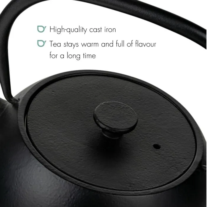 Sartons Guizhou theepot gietijzer zwart 0,75 liter