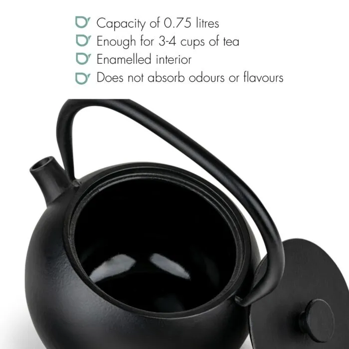 Sartons Guizhou theepot gietijzer zwart 0,75 liter