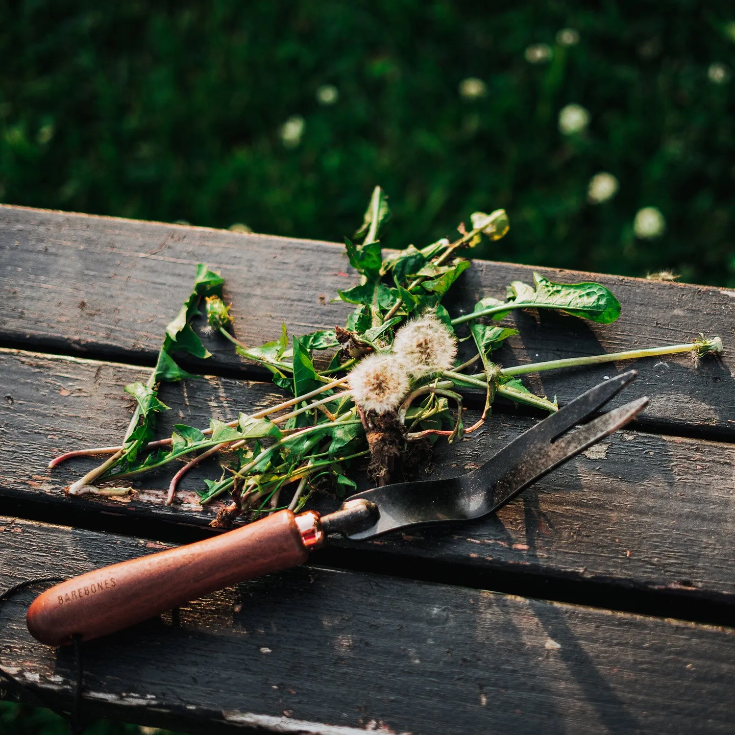 Bare Bones Living Dandelion Weeding Fork onkruidsteker Ash Mint