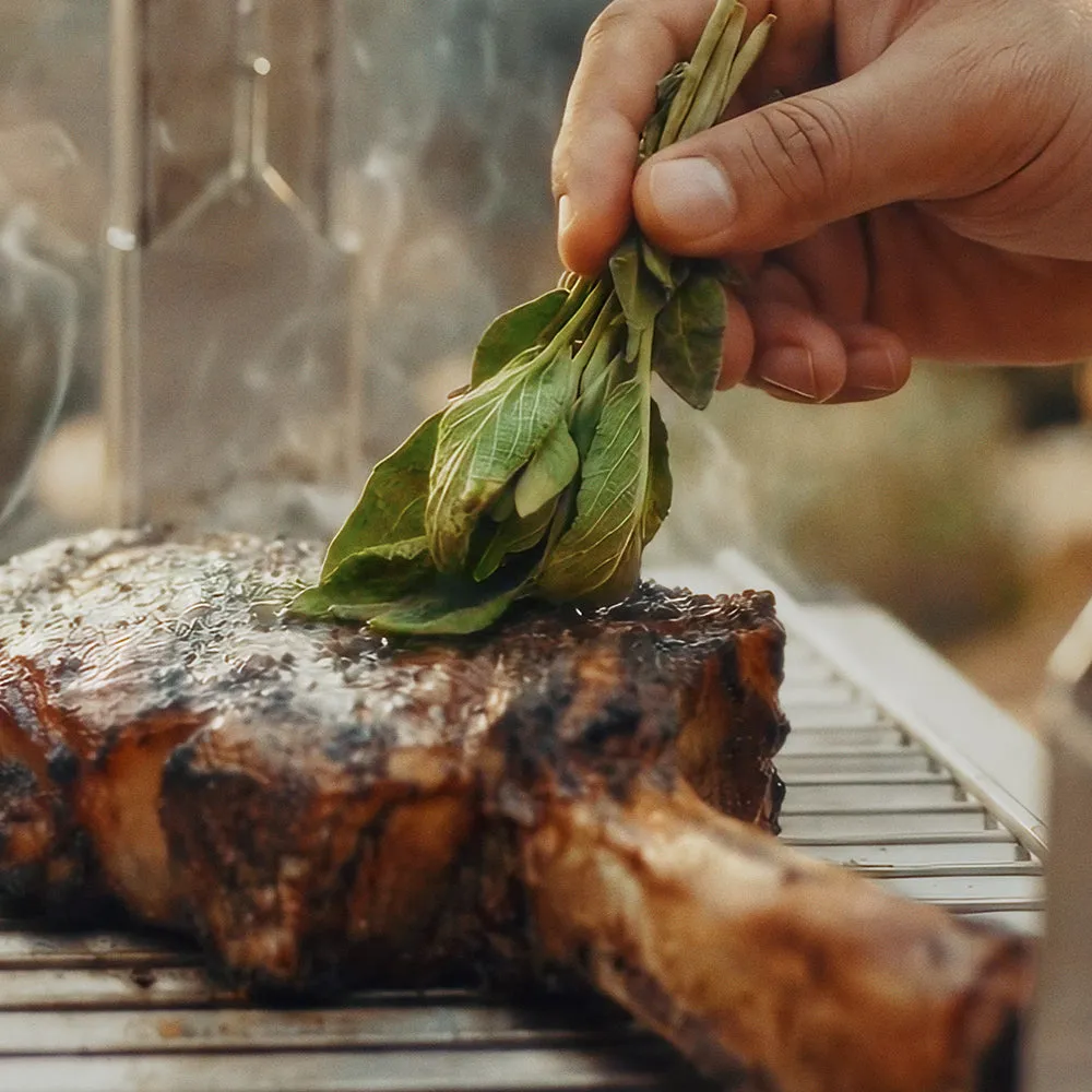 Kasai Grill Master Training Class cursus barbecue