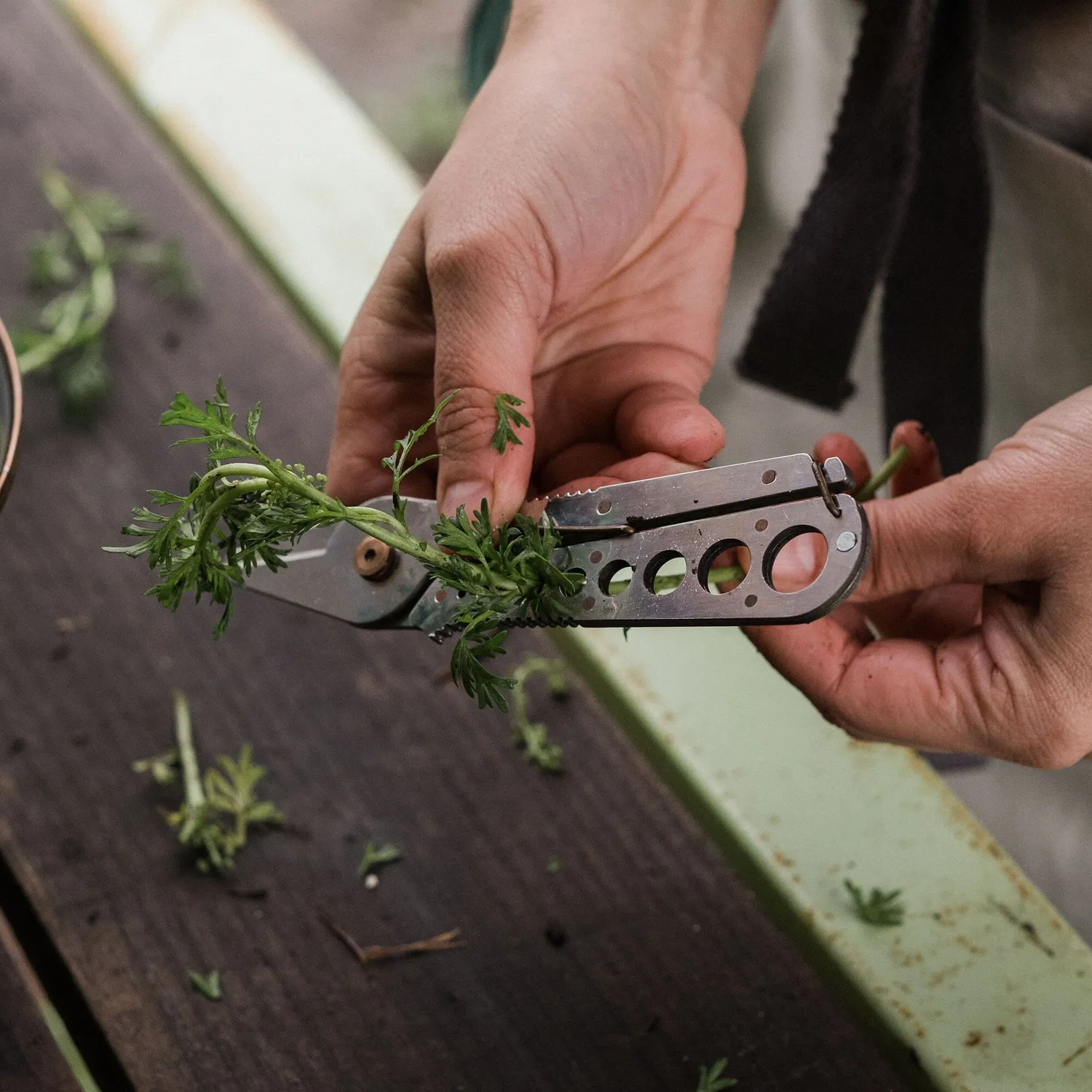 Bare Bones Living Herb Harvest and Strip Tool kruidenschaar Tumbled Black 2-in-1
