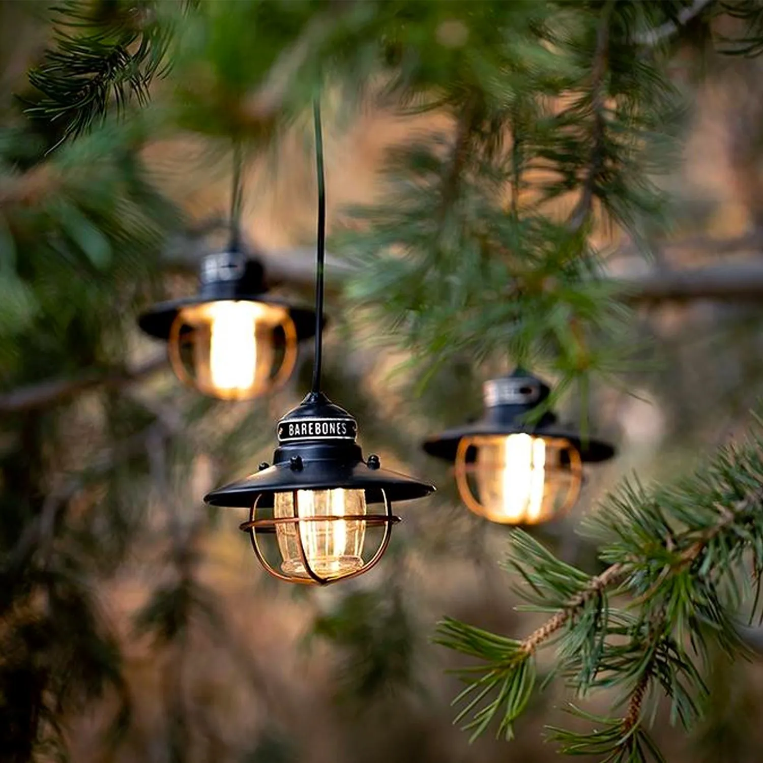 Bare Bones Living Edison Pendant lichtsnoer led usb buiten
