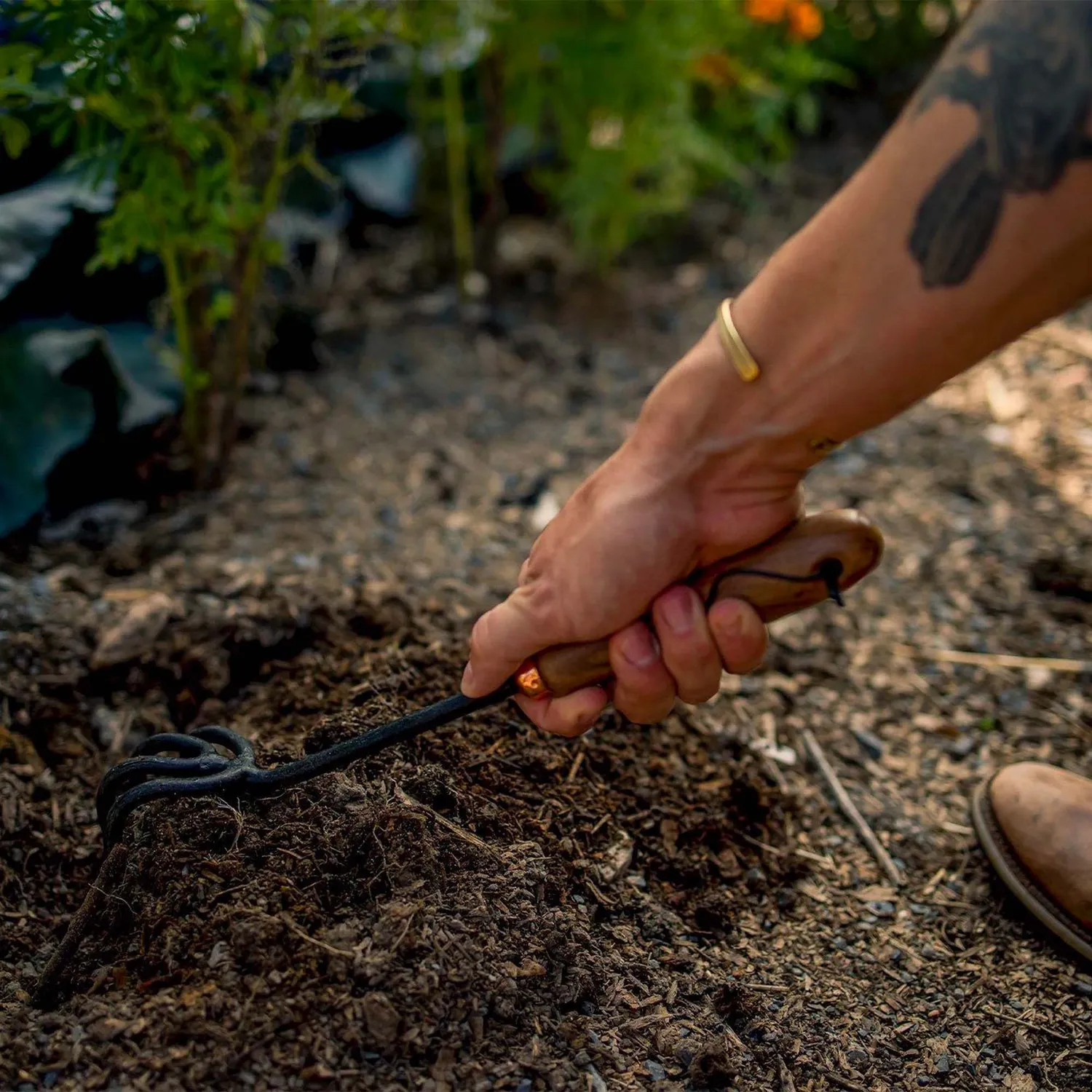 Bare Bones Living Cultivator tuinhark rvs tanden
