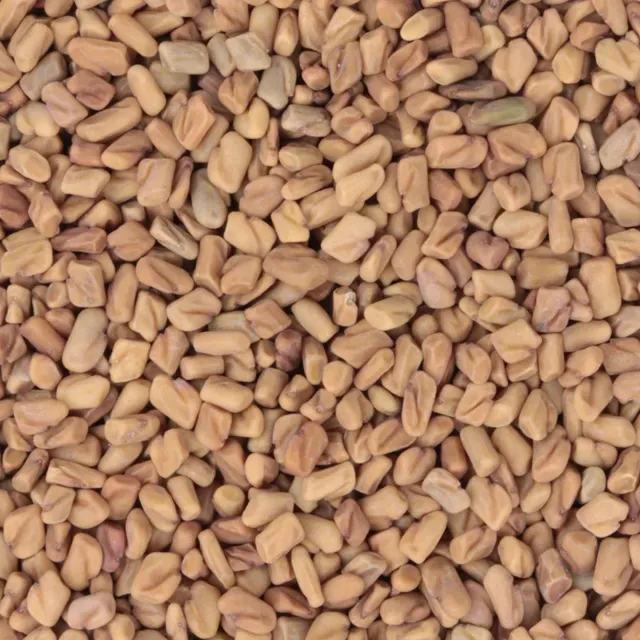 Sartons Fenegriek thee BIO 100 gram kruidig