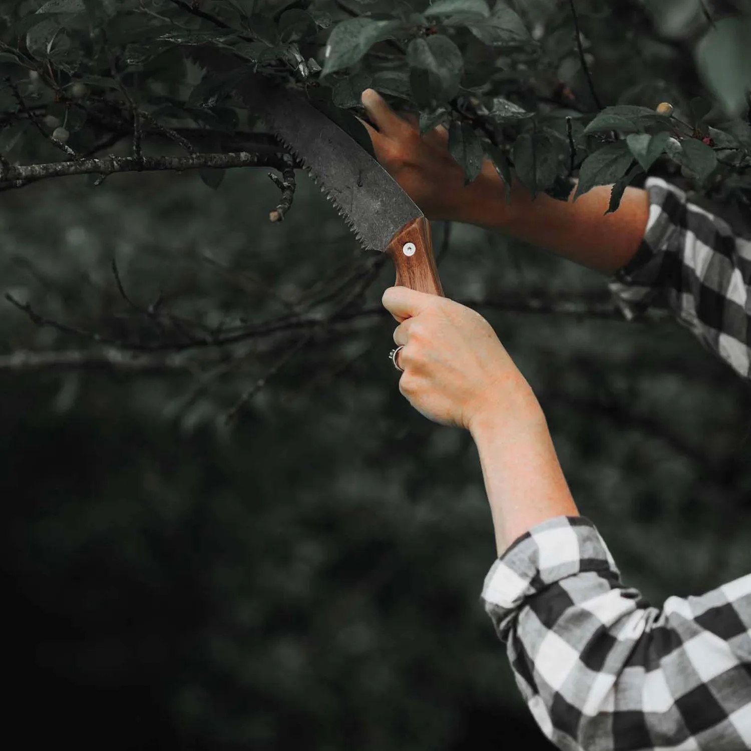 Bare Bones Living Timber Saw takkenzaag walnoothout met hoes